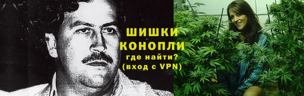 mdpv Протвино
